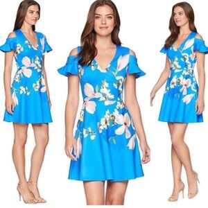 Ted Baker London - Blue Floral Amber Harmony Mini Dress, Sz 8